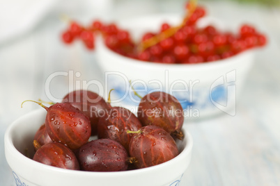 Stachelbeeren und Johannisbeeren