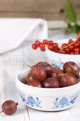 Stachelbeeren und Johannisbeeren