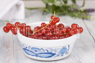 Johannisbeeren