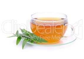 Tee Spitzwegerich - tea ribwort plantain 05