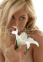 madonna lily #2