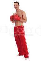 Young Boxer