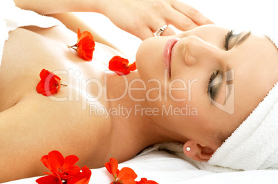 red petals spa #4