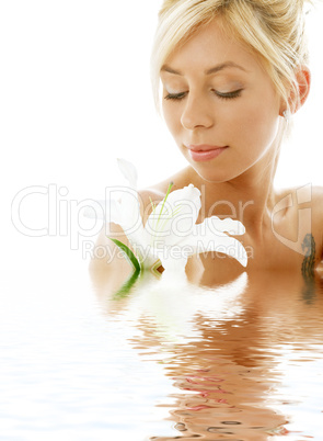 lily blond in water