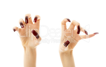 aggressive hands with long nails