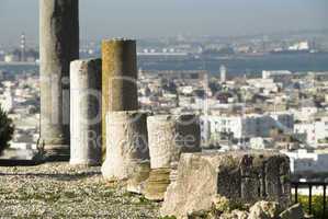 The Ruins of Carthago, Tunisia