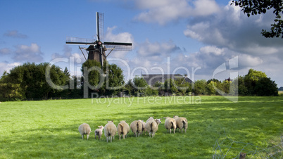 Wind mill in netherlands