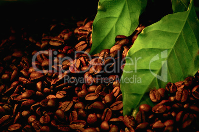 coffee beans and green leaf