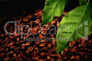 coffee beans and green leaf