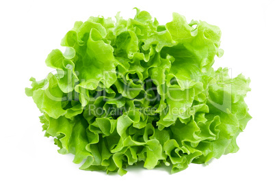 Lettuce