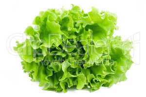 Lettuce