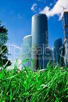 Green grass and skyscrapers