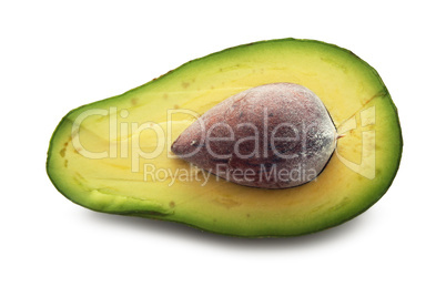 Avocado