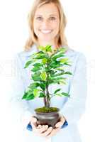 Portrait of a self-assured businesswoman holding a plant