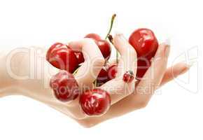 hand full of red cherries