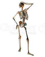 Skelett in Model Pose