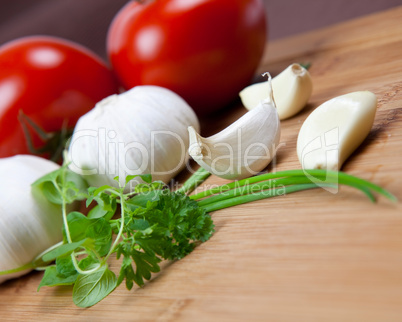 Knoblauch und Kräuter/ garlic and herb