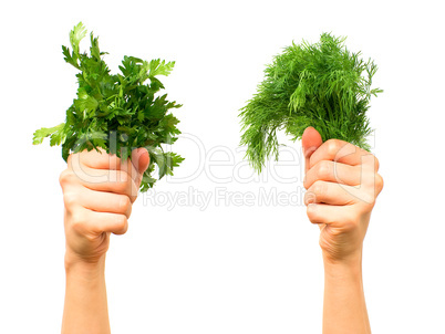 Parsley and dill