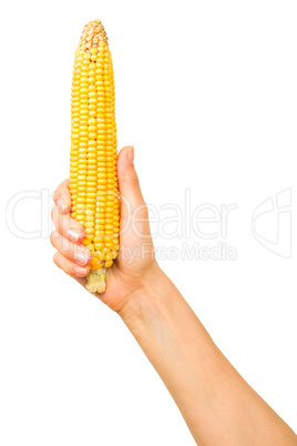 Ear of corn