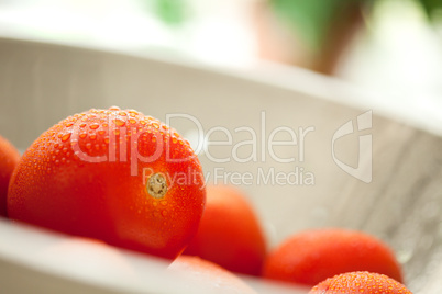 Fresh, Vibrant Roma Tomatoes in Colander with Water Drops