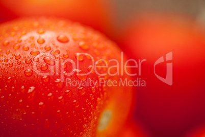 Fresh, Vibrant Roma Tomatoes with Water Drops