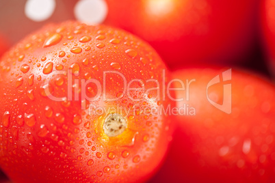 Fresh, Vibrant Roma Tomatoes in Colander with Water Drops