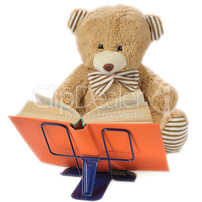 Stuffed bear reading a book