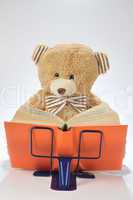 Stuffed bear reading a book