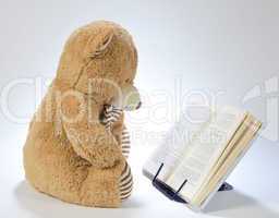 Stuffed bear reading a book