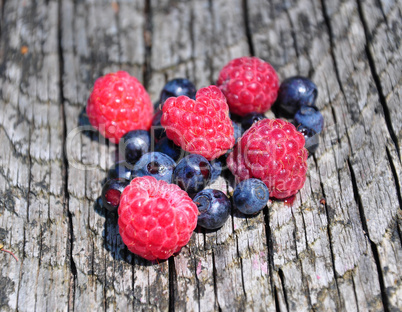 Waldbeeren auf Holz