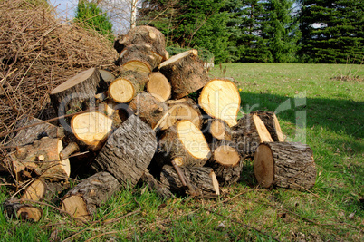 Holzstapel - stack of wood 28