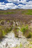 australia grass land