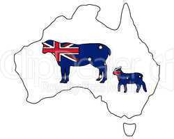 Australische Schafe