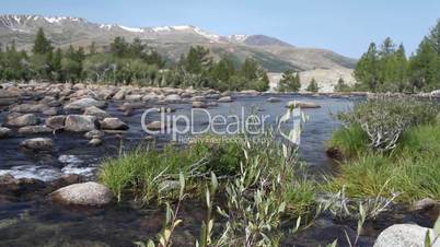 Rapid mountain river in Mongolian Altai