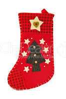 Christmas is coming - Red stocking for gifts