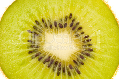 Isolated kiwi fruit