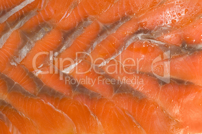 Sliced hunchback salmon background