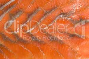 Sliced hunchback salmon background