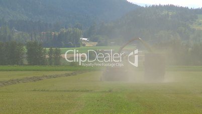 early summer first alfalfa harvest, British Columbia, Canada