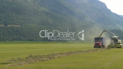 alfalfa harvest, combine and truck in field in British Columbia Canada. though frame