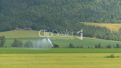 water irrigation, alfalfa field in British Columbia, Canada