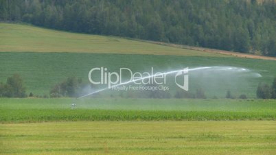 water irrigation alfalfa field and tractor