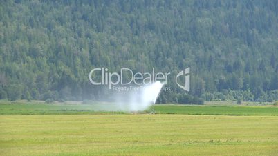 timelapse, water irrigation on alfalfa field