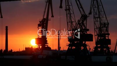 A cargo cranes in the port (Full HD)