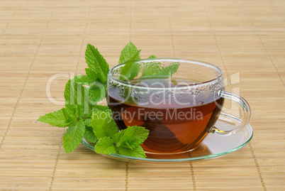 Tee Pfefferminze - tea Peppermint 11