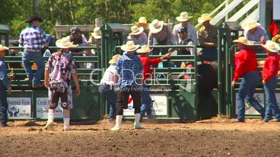 rodeo, boys steer riding
