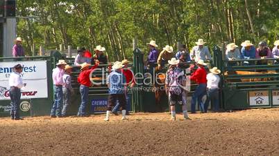 rodeo, boys steer riding bucked off