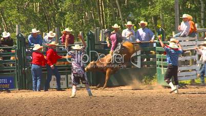 rodeo, boys steer riding bucked off