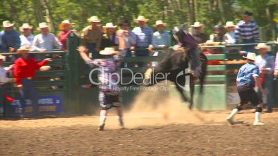 rodeo, boys steer riding little guy