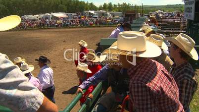 rodeo, cowboys and chutes